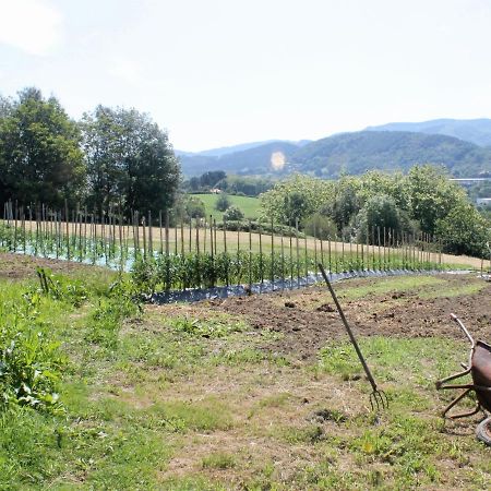 Caserio En Zona Rural Istilla Fontarrabie Extérieur photo