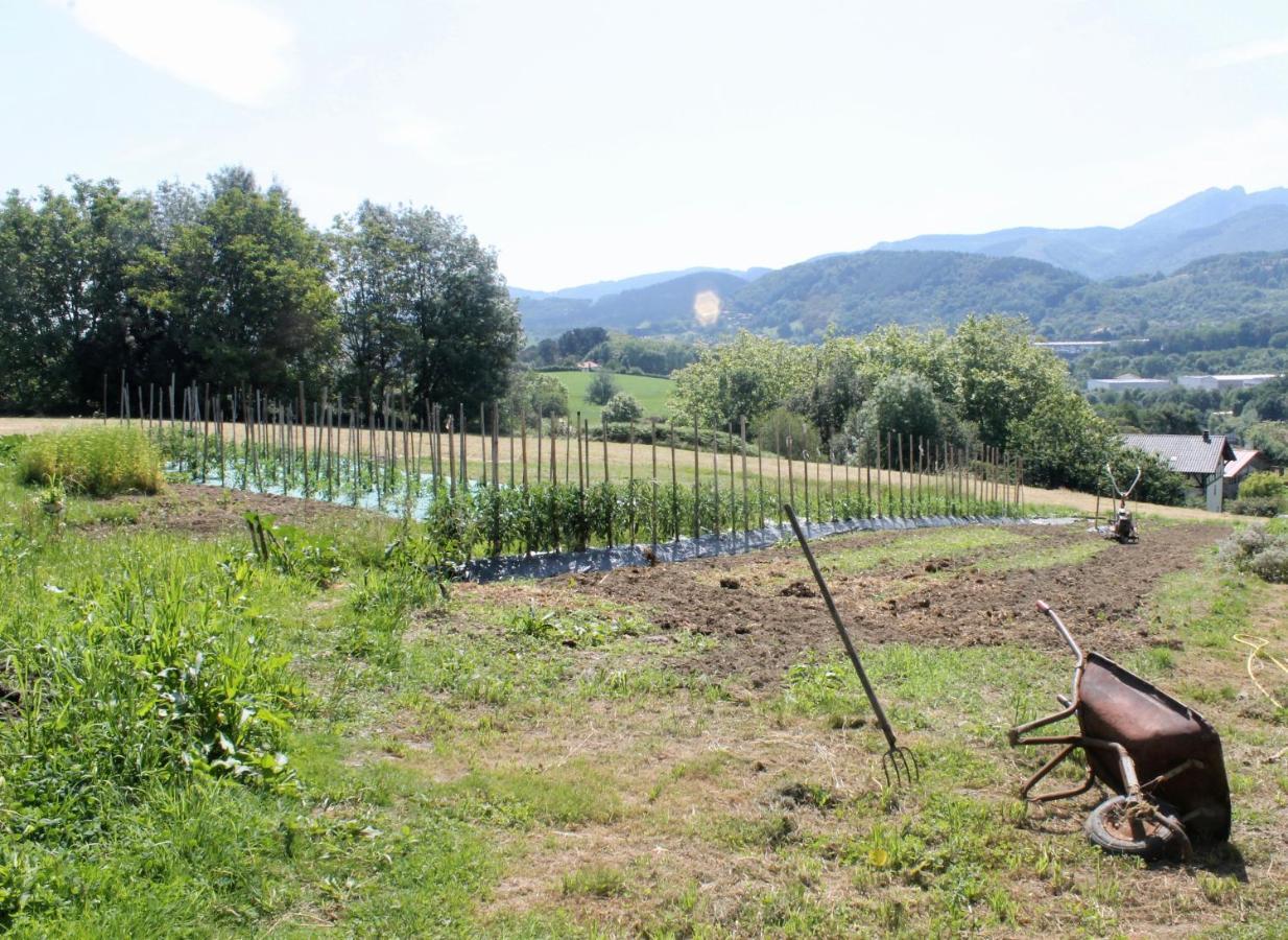 Caserio En Zona Rural Istilla Fontarrabie Extérieur photo